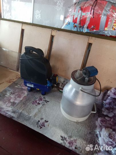 Доильный аппарат для коров