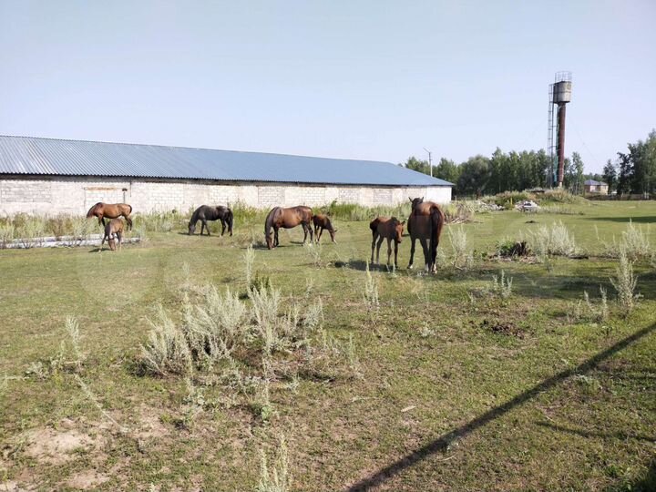 Участок 10 сот. (ИЖС)