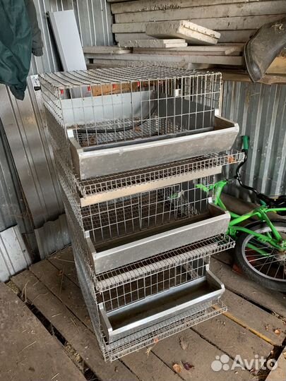 Клетка для перепелов