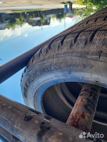 Bridgestone Blizzak DM-V1 255/55 R18 109R