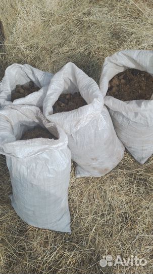 Навоз конский в мешках