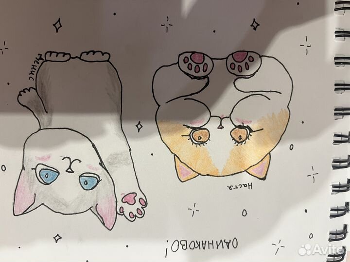 Нарисую вашего питомца по фото