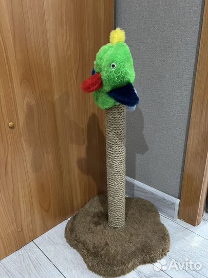 Когтеточка