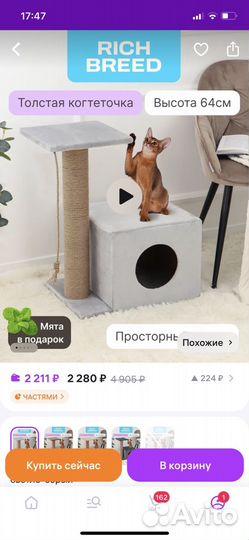 Когтеточка с домиком для кошки