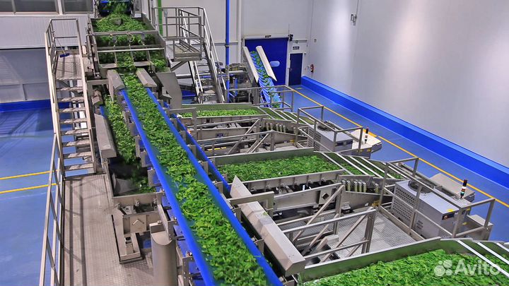 Вахта Москва сортировщик овощей с проживанием