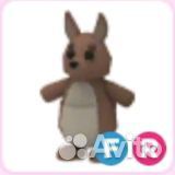 F R кенгуру (Адопт ми)