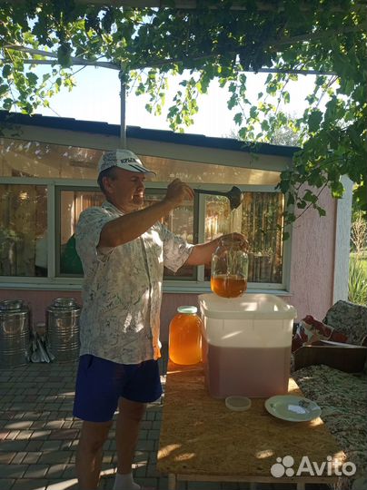 Мед с Коктебельской пасеке