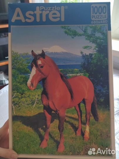 Пазлы 1000 деталей