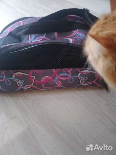 Для мелкого котика,или маленькой собачки