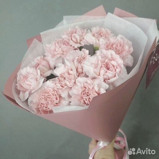 Свежие гвоздики