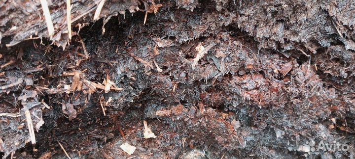 Перегной навоз конский