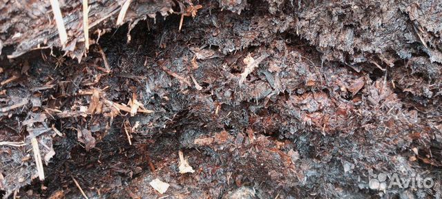 Перегной навоз конский