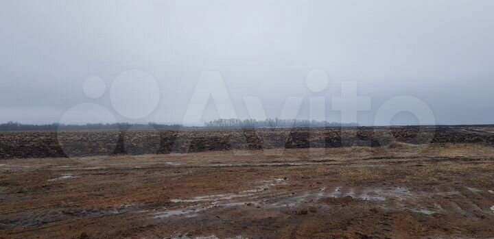 Участок 4,43 га (СНТ, ДНП)