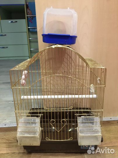 Продам клетку для попугая +ёмкость для купания
