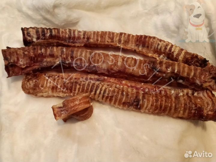 Лакомства для собак. Бычий корень, трахея, легкое