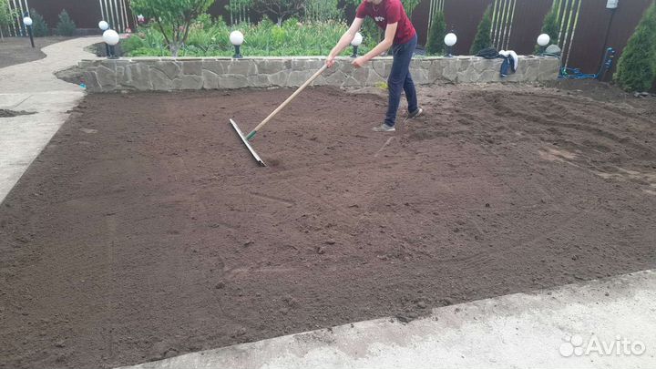 Рулонный,посевной газон