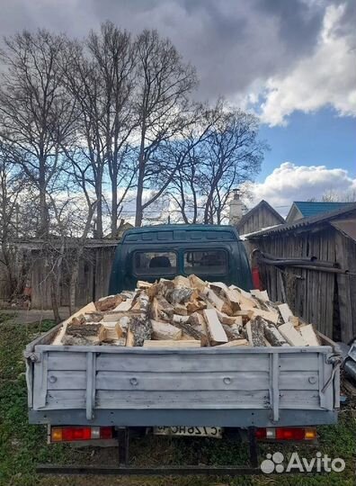 Дрова береза