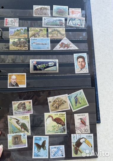 Почтовые марки мира