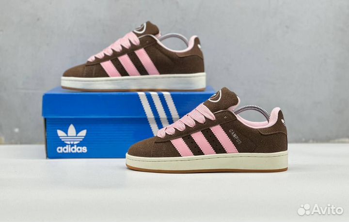 Кроссовки женские adidas campus Korn x 2025 TOP