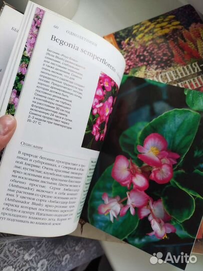 Книги о цветах