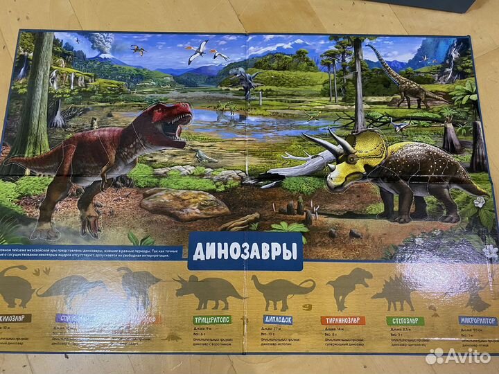 Динозавры. Детская энциклопедия с магнитами