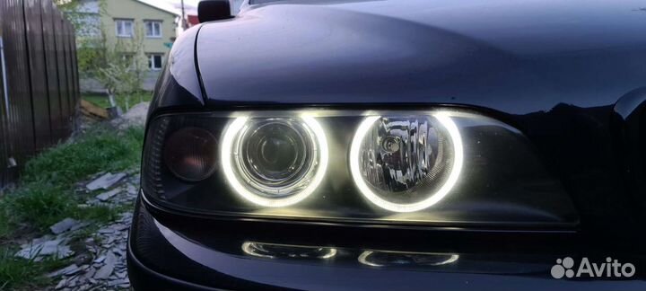 Ангельские глазки на BMW e39