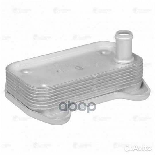 Радиатор Масляный Для А/М C (W203) (00) Luzar