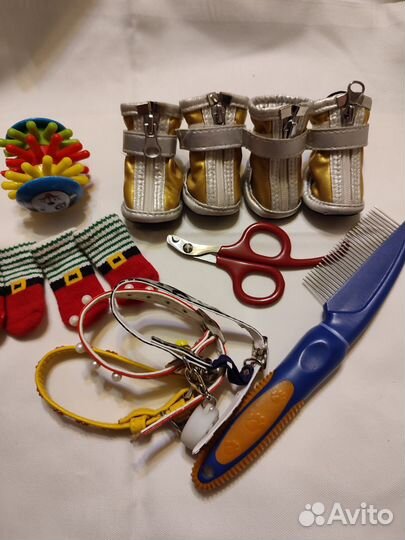 Обувь для маленьких собак