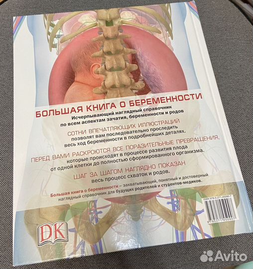 «Большая книга о беременности», Сара Брюэр (Новая)