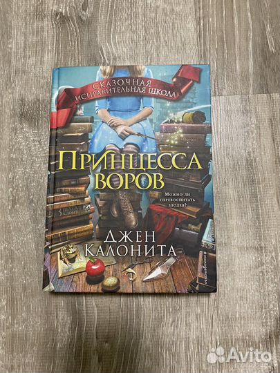 Книга «принцесса воров»