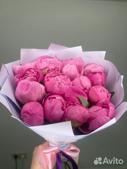 Цветы пионы