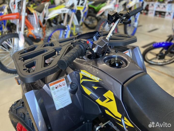 Квадроцикл Motoland wild truck X 200