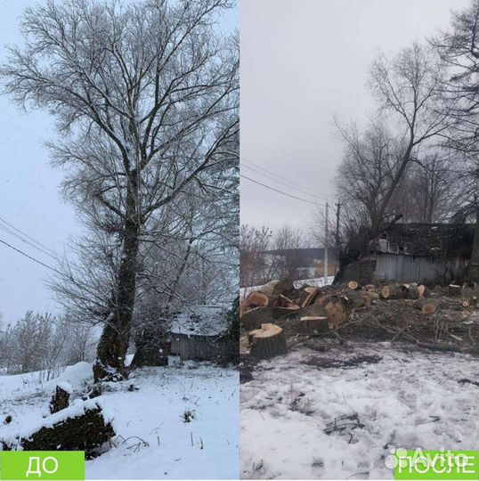 Спилить дерево, опиловка дерева, обрезать ветки