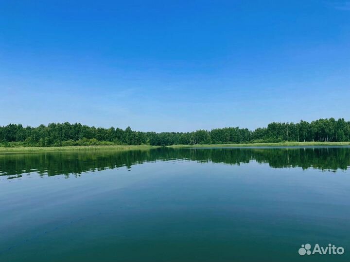 Аренда катера, вейкборд, отдых на воде, прогулка