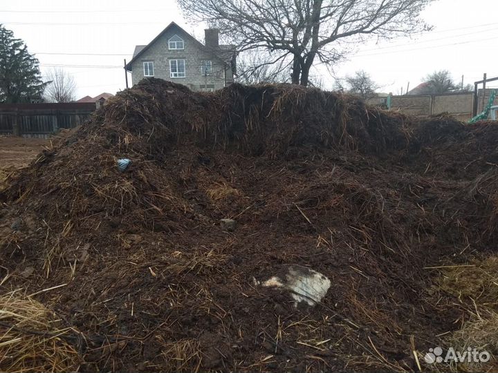 Навоз конский бесплатно