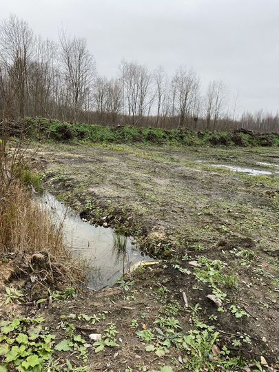 Участок 15 га (ИЖС)