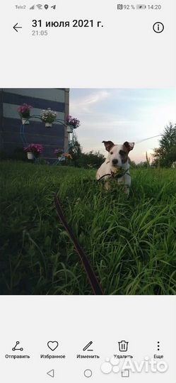 Вязка