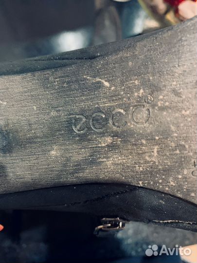 Ecco Сапоги женские зимние замшевые 39,5