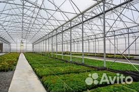 Работа в таплице