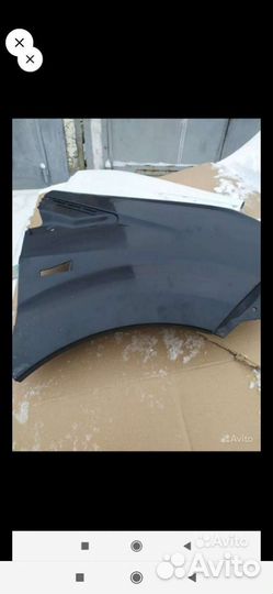 Крылья ГАЗЕЛЬ некст крашенные