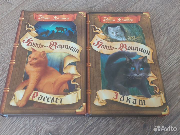 Коты воители 2 книги из 2 цикла