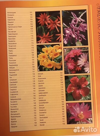 Атлас комнатных растений