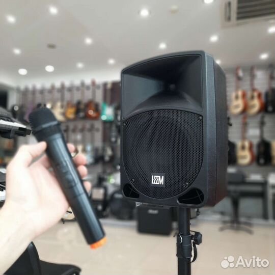 Акустическая система с аккумулятором и микрофоном