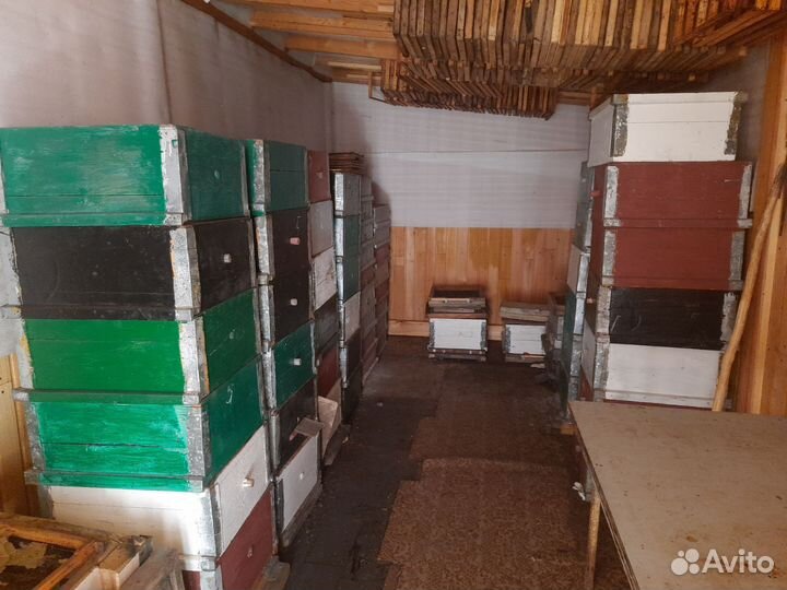 Улей для пчел