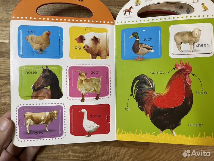 Детская книга Touch and lift на английском языке