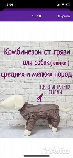 Дождевик для собаки девочки