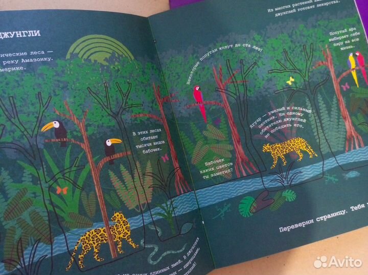 Следй за линией 2 книги. Манн, Иванов и Фербер