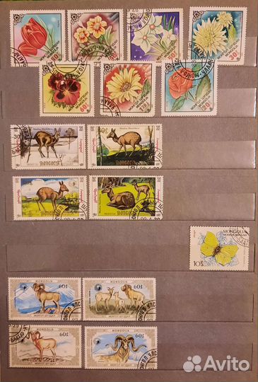 Марки Флора/Фауна