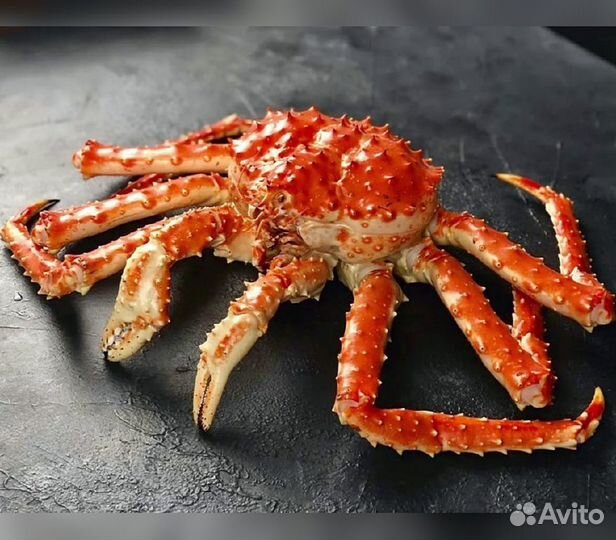 Краб, Креветка, Гребешок