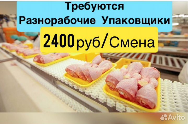Разнорабочий / Упаковщик муж/жен на птицефабрику